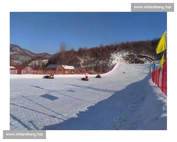 上海冰雪热潮:顶级赛事与全民参与共舞,452 万人次畅享冰纷生活 上海冰雪热潮:顶级赛事与全民参与共舞,452 万人次畅享冰纷生活