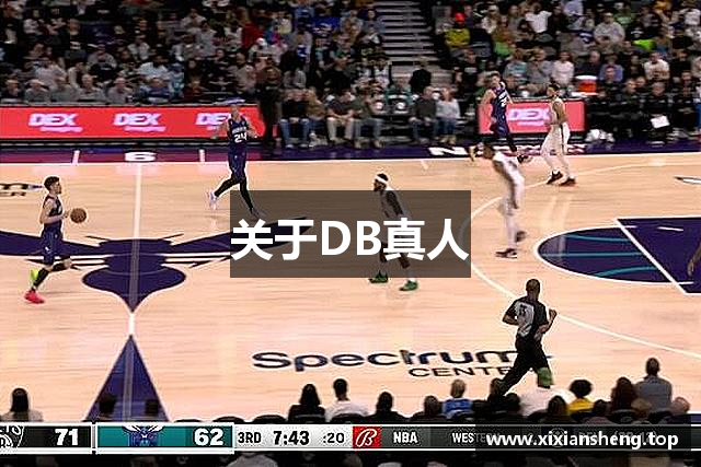 关于DB真人